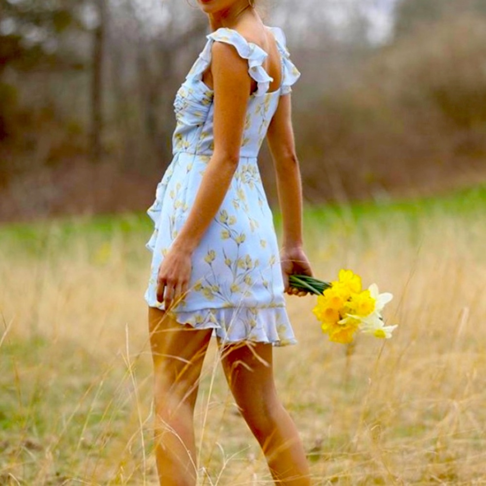 NWT FLETCH Spring Summer Dress.